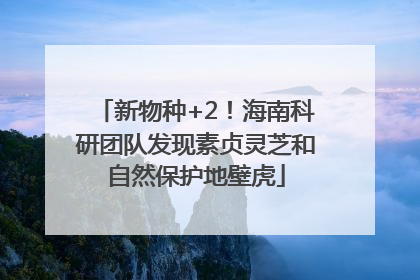 新物种+2！海南科研团队发现素贞灵芝和自然保护地壁虎