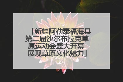 新疆阿勒泰福海县第二届沙尔布拉克草原运动会盛大开幕 展现草原文化魅力