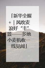 新华全媒+｜风吹麦浪好“丰”景——多地小麦机收一线见闻