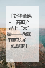 新华全媒+｜高原产品上“云”端——西藏电商发展一线观察