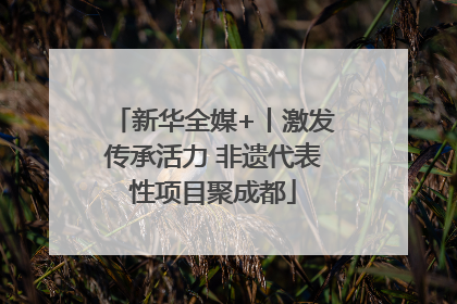 新华全媒+丨激发传承活力 非遗代表性项目聚成都