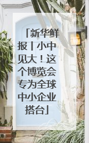 新华鲜报丨小中见大！这个博览会专为全球中小企业搭台