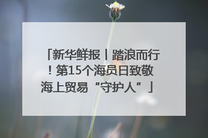 新华鲜报丨踏浪而行！第15个海员日致敬海上贸易“守护人”