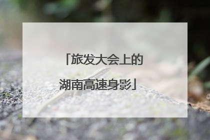 旅发大会上的湖南高速身影