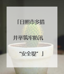 日照市多措并举筑牢防汛“安全堤”