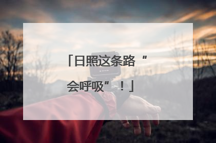 日照这条路“会呼吸”！