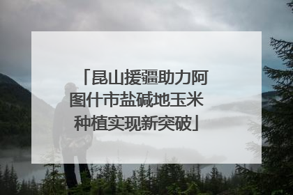 昆山援疆助力阿图什市盐碱地玉米种植实现新突破