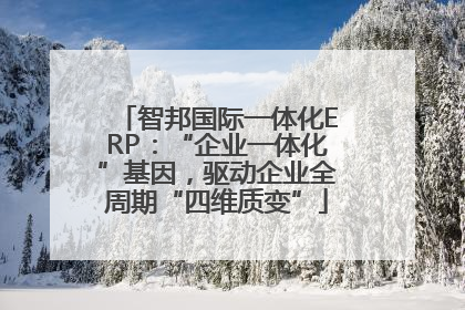 智邦国际一体化ERP：“企业一体化”基因，驱动企业全周期“四维质变”