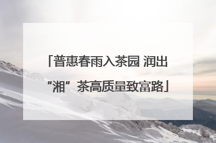 普惠春雨入茶园 润出“湘”茶高质量致富路