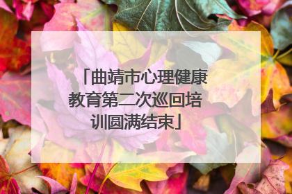 曲靖市心理健康教育第二次巡回培训圆满结束