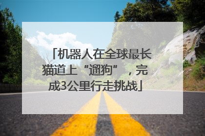 机器人在全球最长猫道上“遛狗”，完成3公里行走挑战