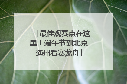 最佳观赛点在这里！端午节到北京通州看赛龙舟