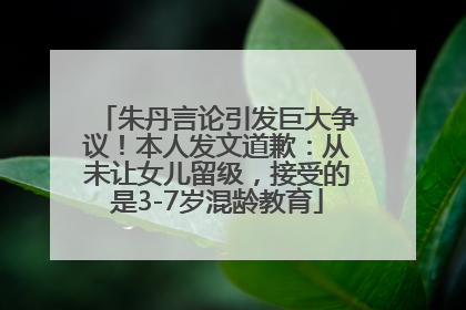 朱丹言论引发巨大争议！本人发文道歉：从未让女儿留级，接受的是3-7岁混龄教育