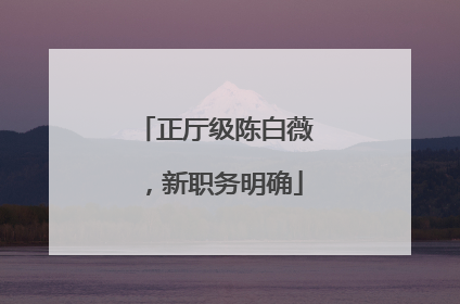 正厅级陈白薇，新职务明确