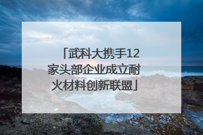 武科大携手12家头部企业成立耐火材料创新联盟