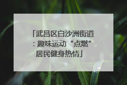 武昌区白沙洲街道：趣味运动“点燃”居民健身热情