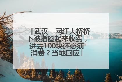 武汉一网红大桥桥下被指圈起来收费，进去100块还必须消费？当地回应