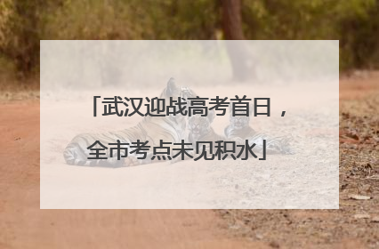 武汉迎战高考首日，全市考点未见积水