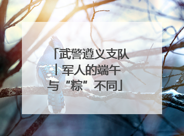 武警遵义支队︱军人的端午 与“粽”不同