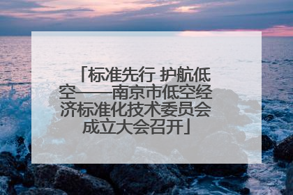 标准先行 护航低空——南京市低空经济标准化技术委员会成立大会召开