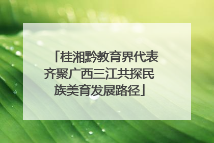 桂湘黔教育界代表齐聚广西三江共探民族美育发展路径