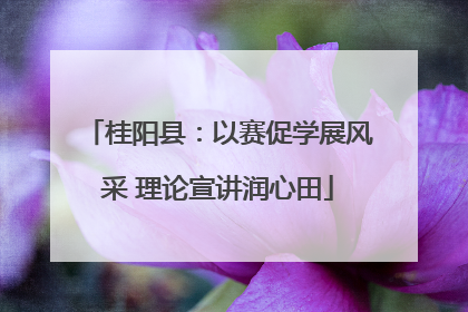 桂阳县：以赛促学展风采 理论宣讲润心田