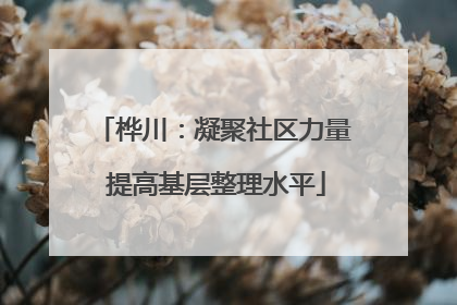 桦川：凝聚社区力量 提高基层整理水平