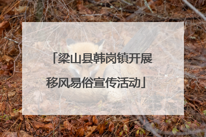 梁山县韩岗镇开展移风易俗宣传活动
