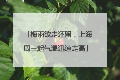 梅雨欲走还留，上海周三起气温迅速走高