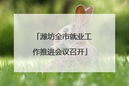 潍坊全市就业工作推进会议召开