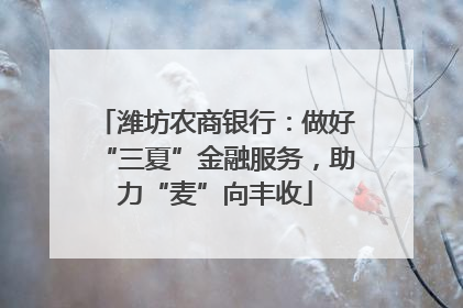 潍坊农商银行：做好“三夏”金融服务，助力“麦”向丰收
