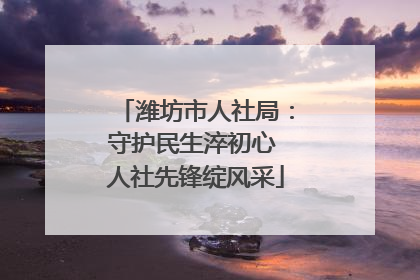 潍坊市人社局：守护民生淬初心 人社先锋绽风采