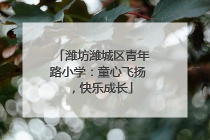 潍坊潍城区青年路小学：童心飞扬，快乐成长