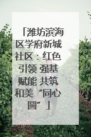 潍坊滨海区学府新城社区：红色引领 强基赋能 共筑和美“同心圆”