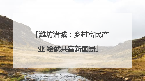 潍坊诸城：乡村富民产业 绘就共富新图景