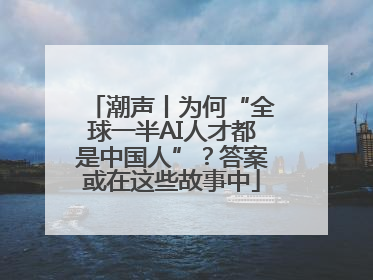 潮声丨为何“全球一半AI人才都是中国人”？答案或在这些故事中