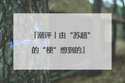 潮评丨由“苏超”的“梗”想到的