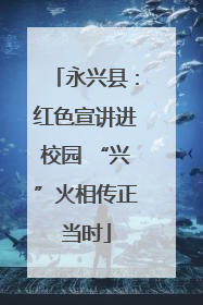 永兴县：红色宣讲进校园 “兴”火相传正当时