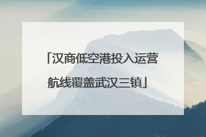 汉商低空港投入运营 航线覆盖武汉三镇
