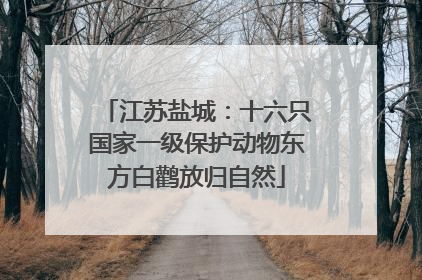 江苏盐城：十六只国家一级保护动物东方白鹳放归自然