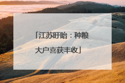 江苏盱眙：种粮大户喜获丰收