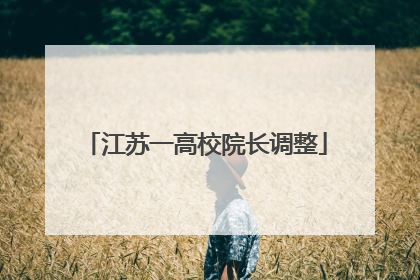 江苏一高校院长调整