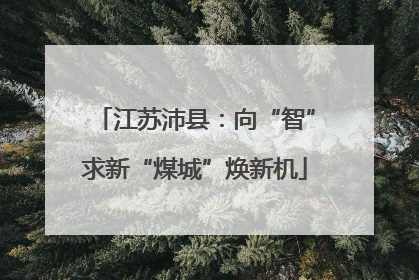 江苏沛县：向“智”求新“煤城”焕新机
