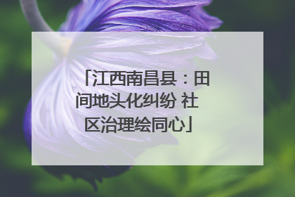 江西南昌县：田间地头化纠纷 社区治理绘同心