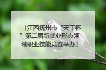 江西抚州市“天工杯”第二届新就业形态领域职业技能竞赛举办