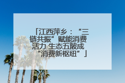江西萍乡：“三链共振”赋能消费活力 生态五陂成“消费新枢纽”