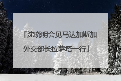 沈晓明会见马达加斯加外交部长拉萨塔一行