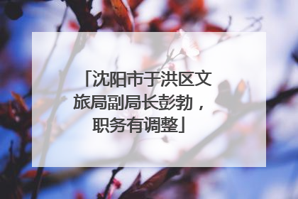 沈阳市于洪区文旅局副局长彭勃，职务有调整