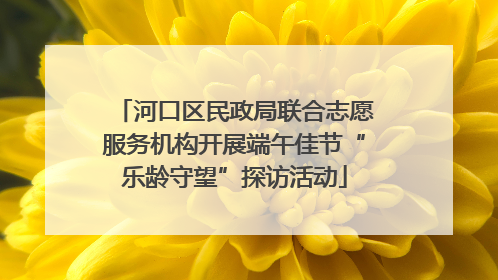 河口区民政局联合志愿服务机构开展端午佳节“乐龄守望”探访活动