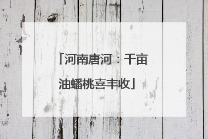 河南唐河：千亩油蟠桃喜丰收